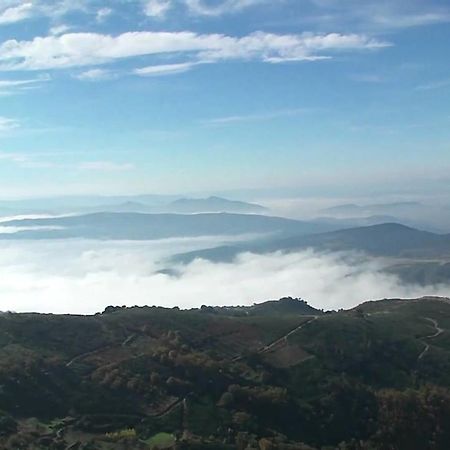 Alojamento Rural De Sendim Da Serra Esterno foto